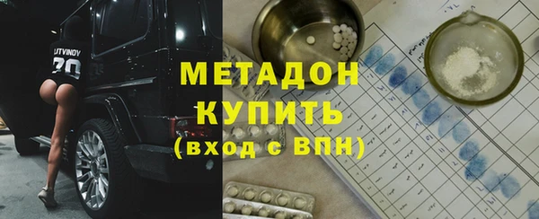 индика Ладушкин