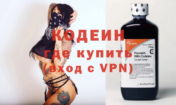 индика Ладушкин