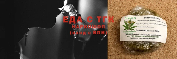 индика Ладушкин