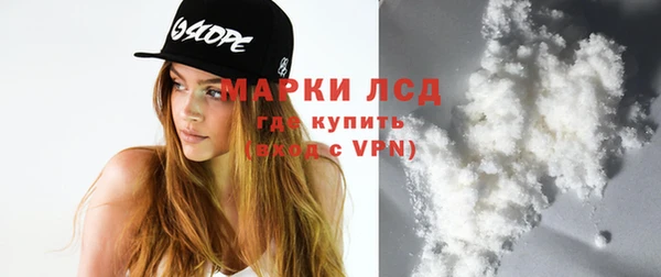 индика Ладушкин