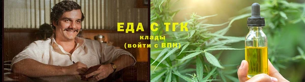 индика Ладушкин