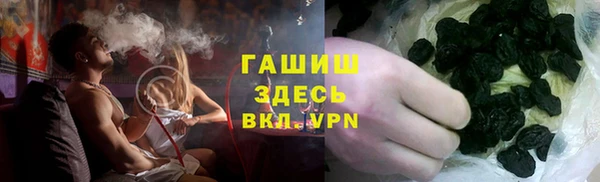 индика Ладушкин