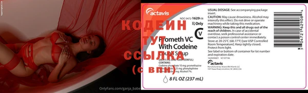 индика Ладушкин