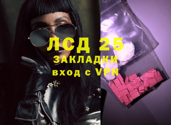 индика Ладушкин