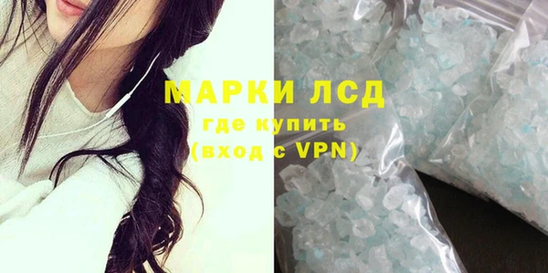 индика Ладушкин